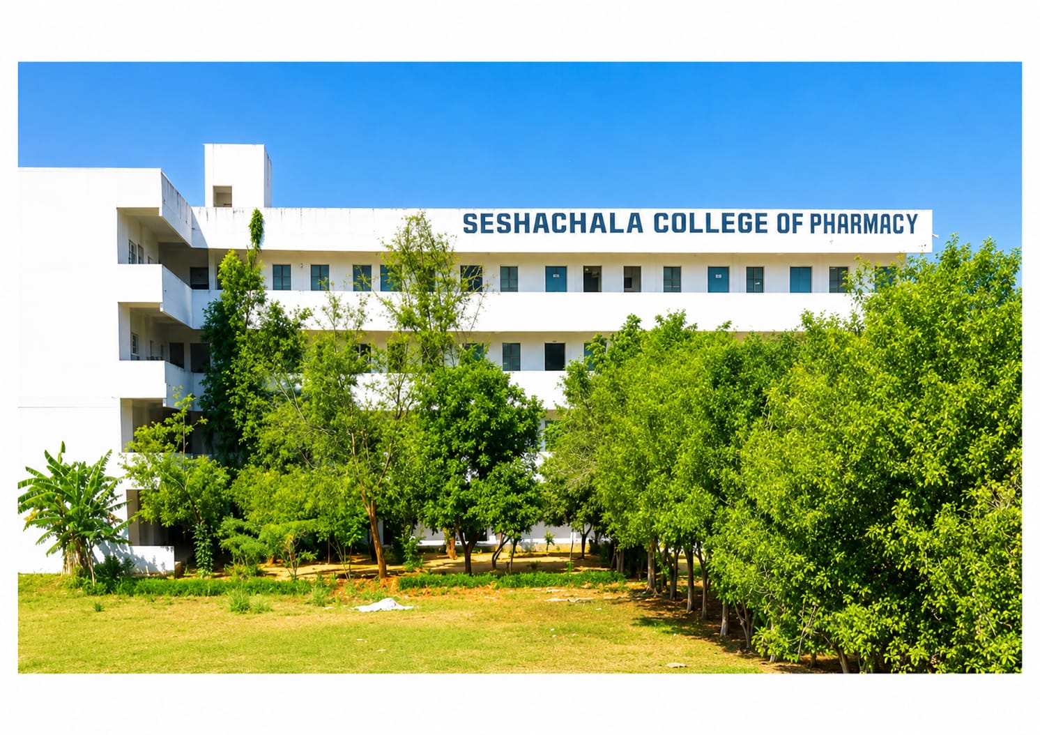 COLLEGE PHOTO