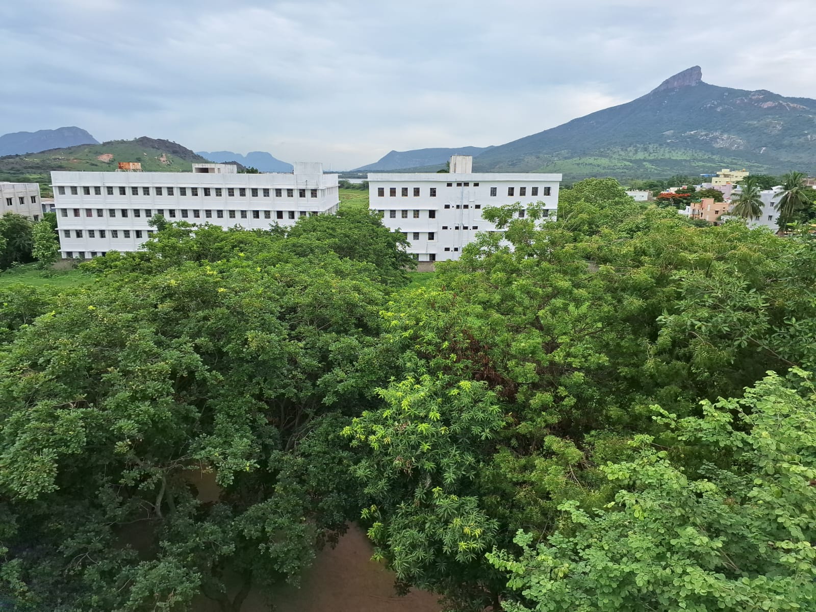 CAMPUS EXTERNAL OVERVIEW